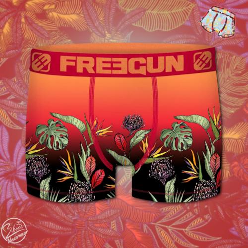 Boxer Fantaisie Freegun Exotique 6