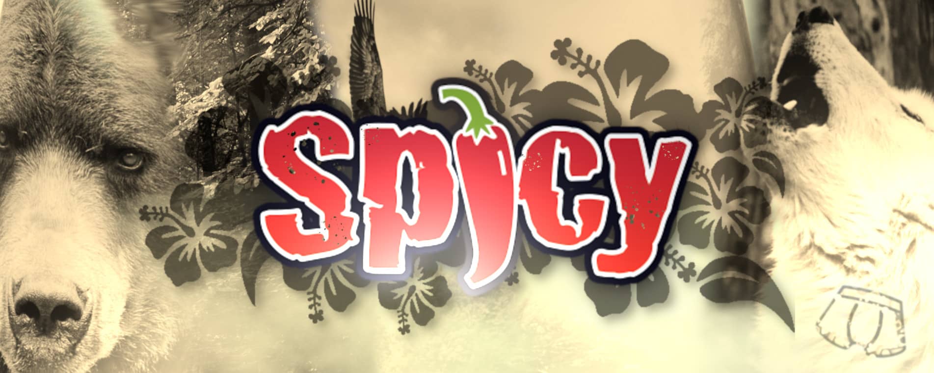 BOXER SPICY