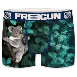 Boxer Fantaisie Freegun Koala