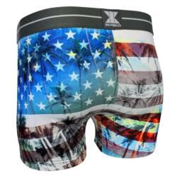 Boxer NOPUBLIK |Motif USA Plamiers