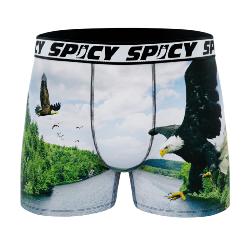 Boxer Spicy |motif Aigle