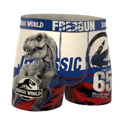 Boxer Enfant  | Jurassic World 65 