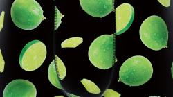 Boxer Freegun |  Citron   🤪