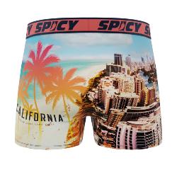 Boxer Spicy |California surf | &#127753;