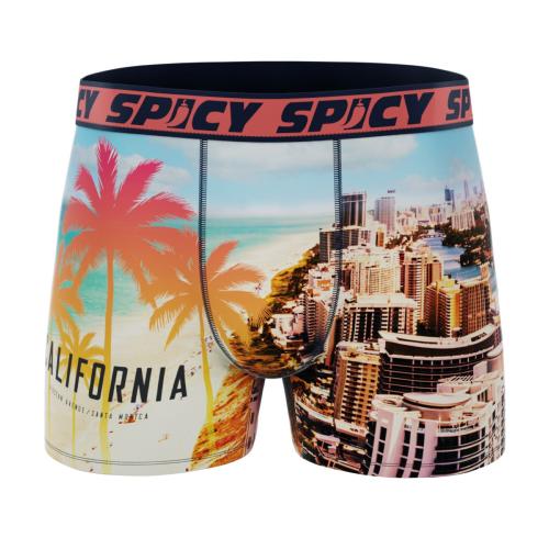 Boxer Spicy |California surf | &#127753;