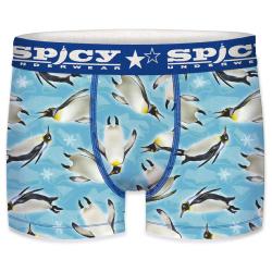 Boxer Spicy |motif Pingouins