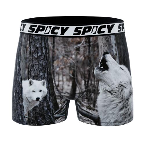 Boxer Spicy |motif Loup | &#128058;