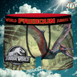 Boxer Enfant Fantaisie Jurassic pteranodon