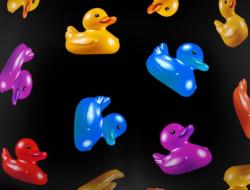 Boxer Freegun |  Coin coin couleurs 🦆