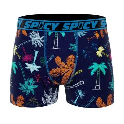 Boxer Spicy |motif Palmiers Color |&#127796;