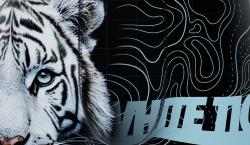 3 Boxers  Enfant | Freegun |Animal 🤩