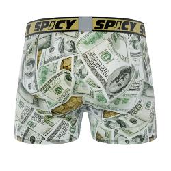 Boxer Spicy |motif Dollars 💵
