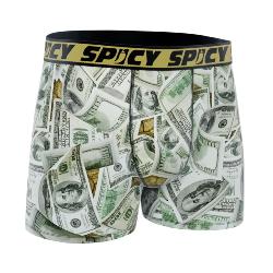 Boxer Spicy |motif Dollars 💵