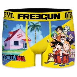 Boxer Fantaisie Freegun DBZ  Family #5