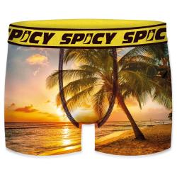 Boxer Spicy |motif California paradise