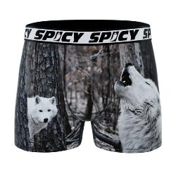 Boxer Spicy |motif Loup
