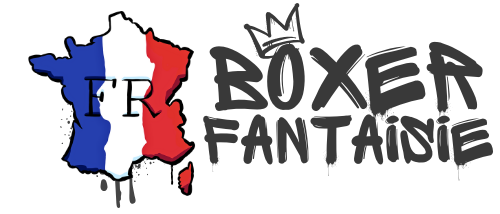LOGO FRANCE BOXER FANTAISIE