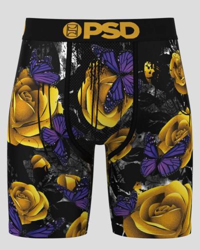 Boxer PSD |  Golden flight &#129419;