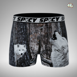 Boxer Spicy |motif Wolf| 🐺