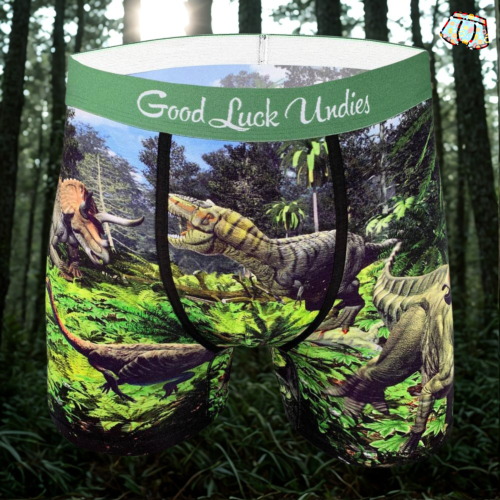 Boxer Good Luck undies| Dinosaure