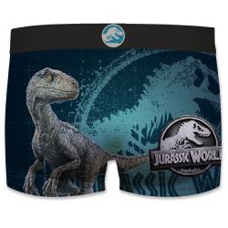 Boxer Enfant Fantaisie Jurassic raptor