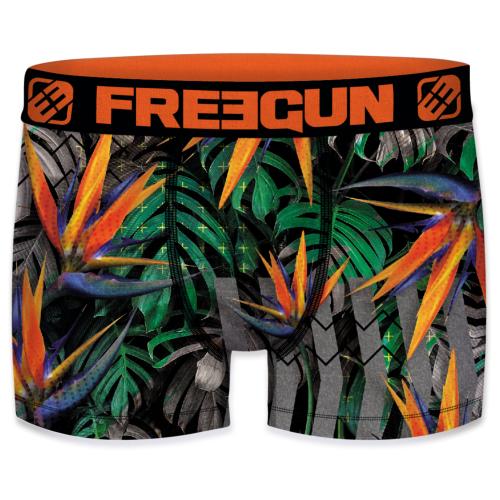 Boxer Fantaisie Freegun Sun flowers