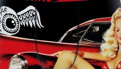 Boxer Vondutch |Pin Up 1 &#129500;&#8205;&#9792;&#65039;