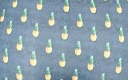 Boxer NoPublik |Motif Petit Ananas | &#127821;