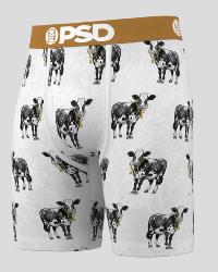 Boxer PSD |  Cash Cow &#128004;