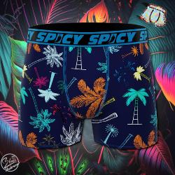 Boxer Spicy |motif Palmiers