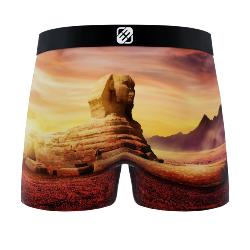 Boxer Fantaisie homme Freegun sphinx