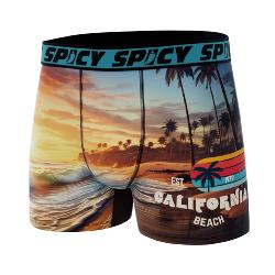 Boxer Spicy |California surf | &#129760;