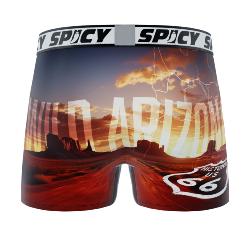 Boxer Spicy |motif Spicy Arizona 🏜️