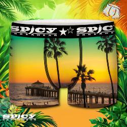 Boxer Spicy |motif Sun Sea