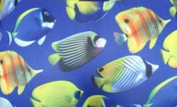 Boxer NOPUBLIK motif Poissons 