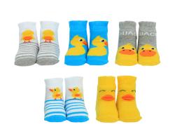 Lot 5 Chaussettes enfant canard