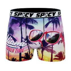 Boxer Spicy |Miami surf | &#127753;