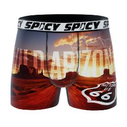 Boxer Spicy |motif Spicy Arizona 🏜️