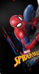 Boxer Spiderman pour enfant 01