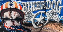 Boxer Nopublik | Motif Dog Biker