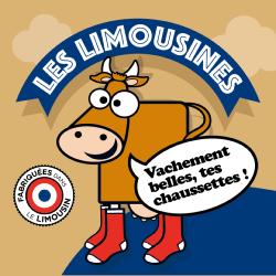 Chaussettes Les Limousines Poissons