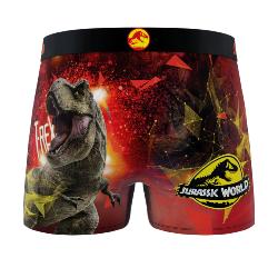 Boxer Enfant | Jurassic T-REX Bis