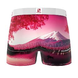 Boxer Freegun | Fuji Mountain 🤩