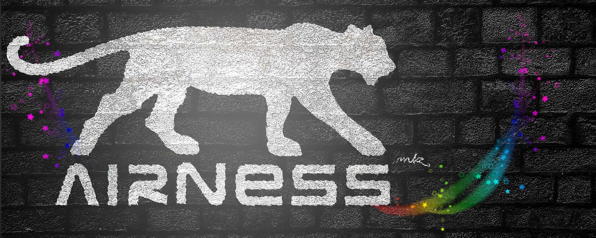 AIRNESS