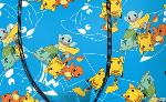 Boxer Enfant Motif pokemon