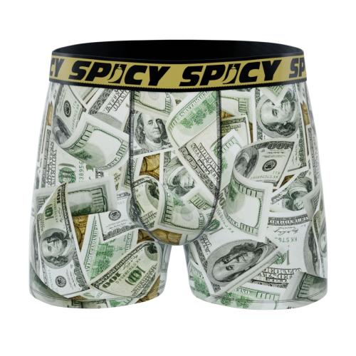 Boxer Spicy |motif Dollars 💵