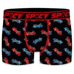 Boxer Spicy |motif Cars