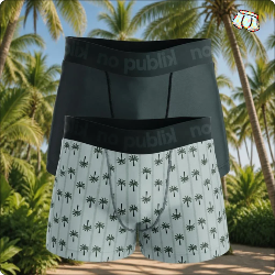 2 Boxers Nopublik |Motif Starter palmer