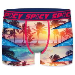 Boxer Spicy |motif Plage | &#127796;