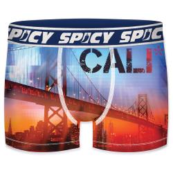 Boxer Spicy |motif California
